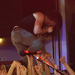 Kids in the Way - CRN 2006