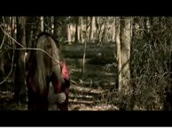 Speak to the Wolves - Darkness often yields the brightest Light - Vidéo