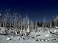 Times of Grace - Where the Spirit leads Me - Vidéo